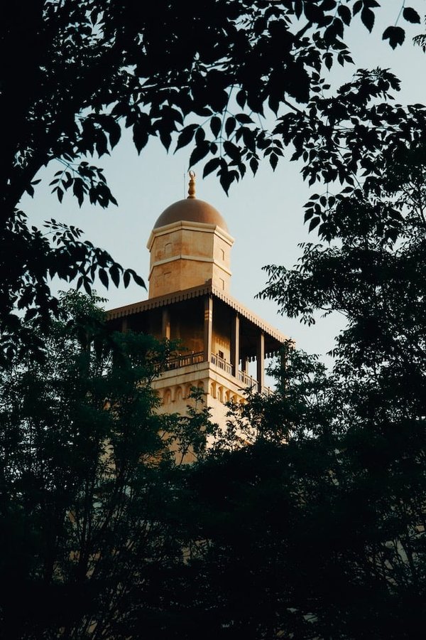 Amman : Top des lieux à visiter, conseils utiles et secrets pour un voyage inoubliable